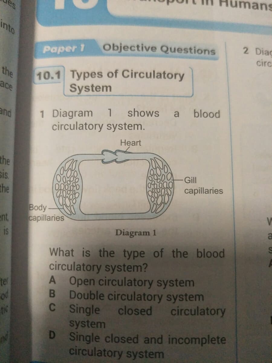 imans
es
into
2 Diac
circ
Objective Questions
Paper 1
10.1 Types of Circulatory
the
System
ace
shows
blood
1 Diagram
circulatory system.
and
1
a
Heart
the
sis.
the
Gill
00
capillaries
Body-
ent,
capillaries
is
Diagram 1
What is the type of the blood
circulatory system?
A Open circulatory system
B Double circulatory system
C Single closed
system
D Single closed and incomplete
circulatory system
ter
od
tic
circulatory
