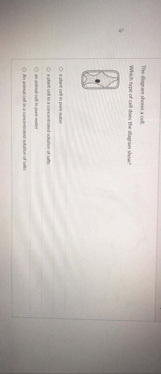 The diagram shows a cell.
Which type of cell does the diagram show?
O a plant cell in pure water
O a plant cell in a concentrated solution of salts
O an animal cell in pure water
O An animal cell in a concentrated solution of salts
