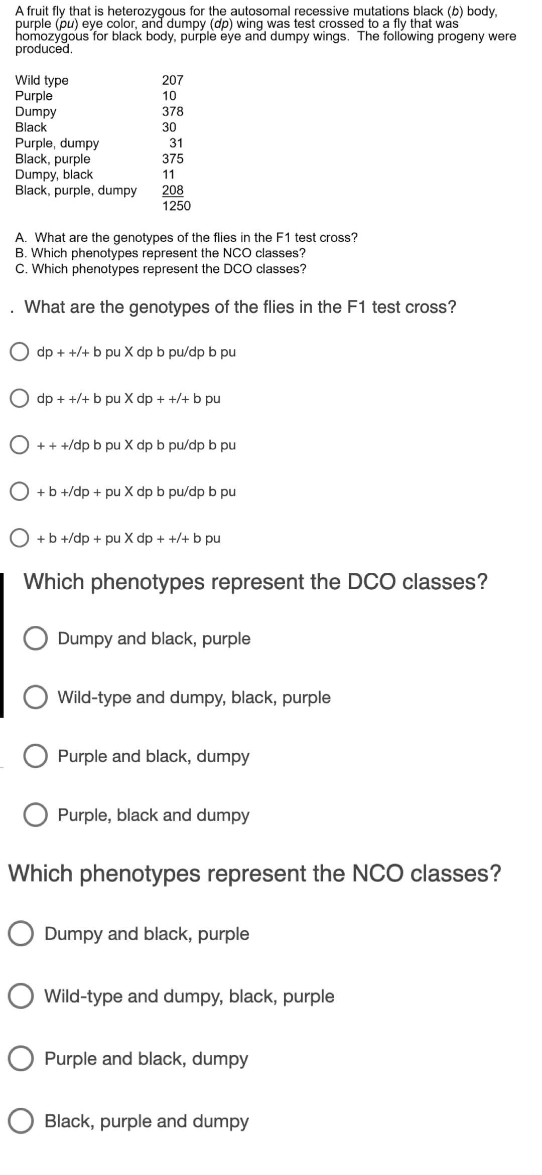 A fruit fly that is heterozygous for the autosomal recessive mutations black (b) body,
purple (pu) eye color, and dumpy (dp) wing was test crossed to a fly that was
homozygous for black body, purple eye and dumpy wings. The following progeny were
produced.
Wild type
Purple
Dumpy
Black
207
10
378
30
Purple, dumpy
Black, purple
Dumpy, black
Black, purple, dumpy
31
375
11
208
1250
A. What are the genotypes of the flies in the F1 test cross?
B. Which phenotypes represent the NCO classes?
C. Which phenotypes represent the DCO classes?
What are the genotypes of the flies in the F1 test cross?
dp + +/+ b pu X dp b pu/dp b pu
O dp + +/+ b pu X dp + +/+ b pu
O ++ +/dp b pu X dp b pu/dp b pu
O +b +/dp + pu X dp b pu/dp b pu
O +b +/dp + pu X dp + +/+ b pu
Which phenotypes represent the DCO classes?
Dumpy and black, purple
Wild-type and dumpy, black, purple
Purple and black, dumpy
Purple, black and dumpy
Which phenotypes represent the NCO classes?
O Dumpy and black, purple
Wild-type and dumpy, black, purple
Purple and black, dumpy
O Black, purple and dumpy
