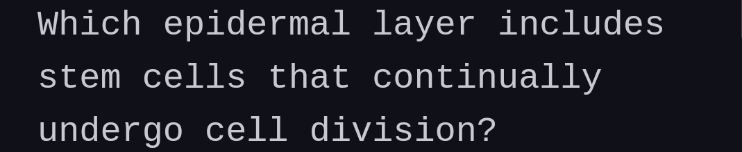 Which epidermal layer includes
stem cells that continually
undergo cell division?
