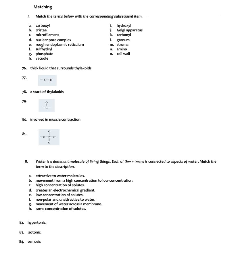 Matching
I.
Match the terms below with the corresponding subsequent item.
a. carboxyl
b. cristae
a. microfilament
d. nuclear pore complex
e. rough endoplasmic reticulum
f. sulfhydryl
g. phosphate
h. vacuole
i. hydroxyl
j. Golgi apparatus
k. carbonyl
1. granum
m. stroma
n. amino
o. cell wall
76. thick liquid that surrounds thylakoids
7.
–s-H
78. a stack of thylakoids
79.
80. involved in muscle contraction
81.
-0-P-O
Water is a dominant molecule of living things. Each of these terms is connected to aspects of water. Match the
term to the description.
I.
a. attractive to water molecules.
b. movement from a high concentration to low concentration.
c. high concentration of solutes.
d. creates an electrochemical gradient.
e. low concentration of solutes.
f. non-polar and unattractive to water.
g. movement of water across a membrane.
h. same concentration of solutes.
82. hypertonic.
83. isotonic.
84. osmosis
