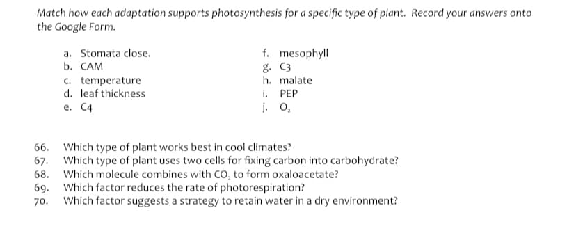 Match how each adaptation supports photosynthesis for a specific type of plant. Record your answers onto
the Google Form.
a. Stomata close.
b. САМ
f. mesophyll
g. C3
h. malate
c. temperature
d. leaf thickness
i. PEP
j. 0,
е. С4
66. Which type of plant works best in cool climates?
67. Which type of plant uses two cells for fixing carbon into carbohydrate?
68. Which molecule combines with CO, to form oxaloacetate?
69. Which factor reduces the rate of photorespiration?
Which factor suggests a strategy to retain water in a dry environment?
70.
