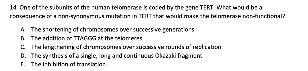 14. One of the subunits of the human telomerase is coded by the gene TERT. What would be a
consequence of a non-synonymous mutation in TERT that would make the telomerase non-functional?
A. The shortening of chromosomes over successive generations
B. The addition of TTAGGG at the telomeres
C. The lengthening of chromosomes over successive rounds of replication
D. The synthesis of a single, long and continuous Okazaki fragment
E. The inhibition of translation
