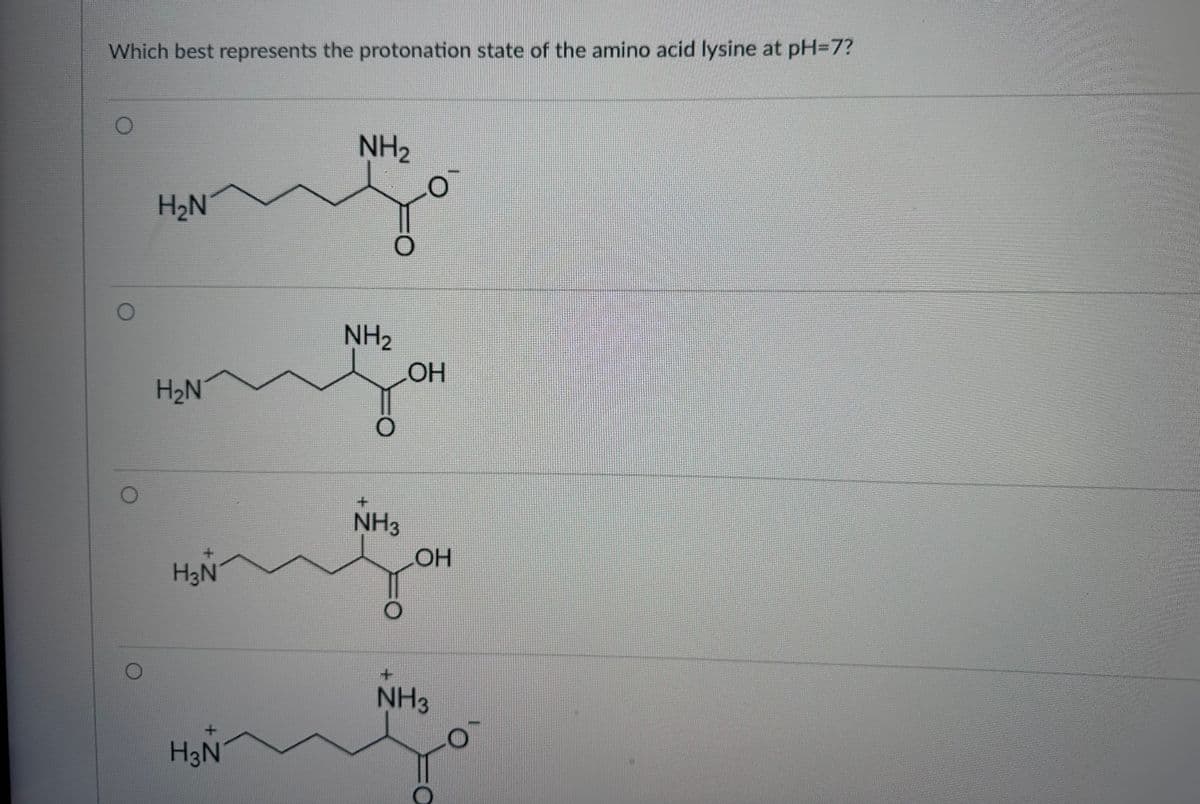 Which best represents the protonation state of the amino acid lysine at pH=7?
H₂N
H₂N
H3N
H3N
NH₂
NH₂
O
+
NH3
OH
OH
+
NH3