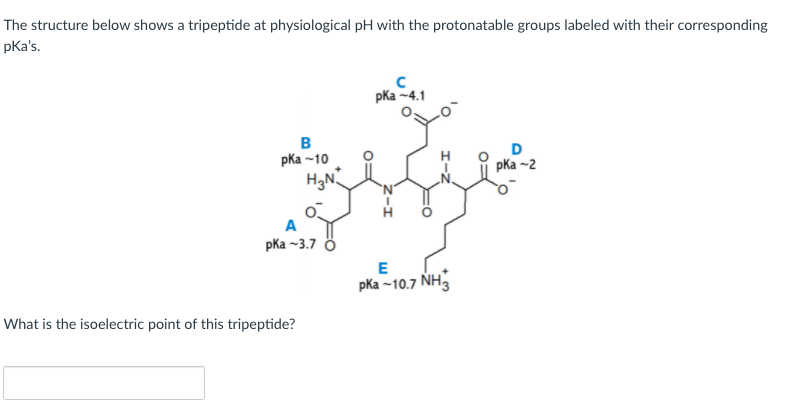 The structure below shows a tripeptide at physiological pH with the protonatable groups labeled with their corresponding
pKa's.
pKa -4.1
в
pka -10
H3N
pKa -2
A
pKa -3.7 ö
pKa -10.7 NH3
What is the isoelectric point of this tripeptide?
