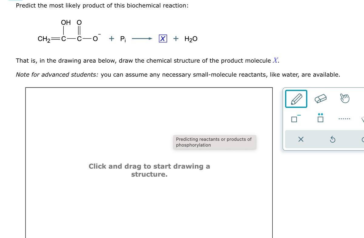 Predict the most likely product of this biochemical reaction:
CH₂=
OH O
+ Pi
X + H₂O
That is, in the drawing area below, draw the chemical structure of the product molecule X.
Note for advanced students: you can assume any necessary small-molecule reactants, like water, are available.
Predicting reactants or products of
phosphorylation
Click and drag to start drawing a
structure.
X
Ś
(