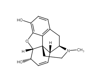 но.
H
N-CH,
но
HOI
