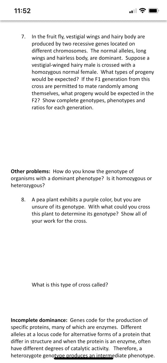 11:52
In the fruit fly, vestigial wings and hairy body are
produced by two recessive genes located on
different chromosomes. The normal alleles, long
wings and hairless body, are dominant. Suppose a
vestigial-winged hairy male is crossed with a
homozygous normal female. What types of progeny
would be expected? If the F1 generation from this
cross are permitted to mate randomly among
themselves, what progeny would be expected in the
F2? Show complete genotypes, phenotypes and
ratios for each generation.
7.
Other problems: How do you know the genotype of
organisms with a dominant phenotype? Is it homozygous or
heterozygous?
A pea plant exhibits a purple color, but you are
unsure of its genotype. With what could you cross
this plant to determine its genotype? Show all of
8.
your work for the cross.
What is this type of cross called?
Incomplete dominance: Genes code for the production of
specific proteins, many of which are enzymes. Different
alleles at a locus code for alternative forms of a protein that
differ in structure and when the protein is an enzyme, often
have different degrees of catalytic activity. Therefore, a
heterozygote genotvne produces an intermediate phenotype.
