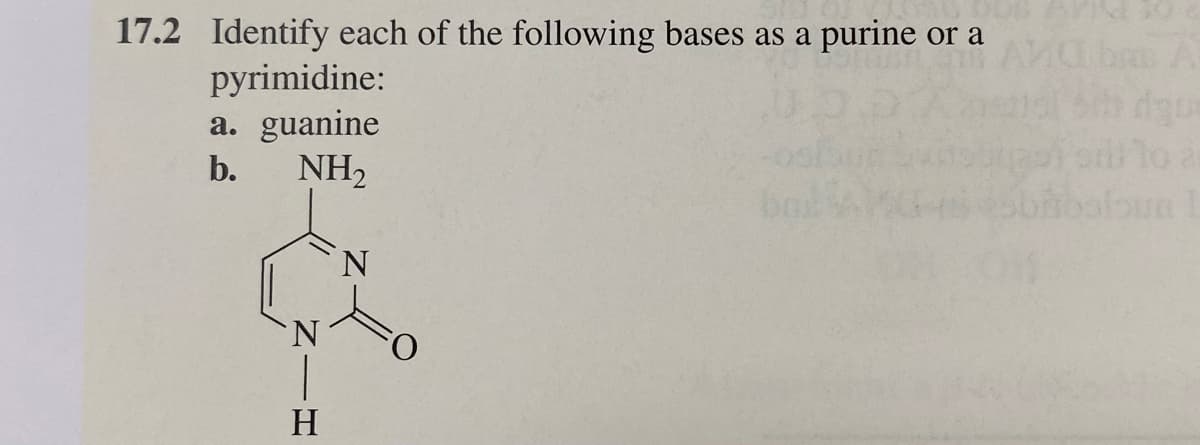 17.2 Identify each of the following bases as a purine or a
pyrimidine:
a. guanine
b.
NH₂
H
foun