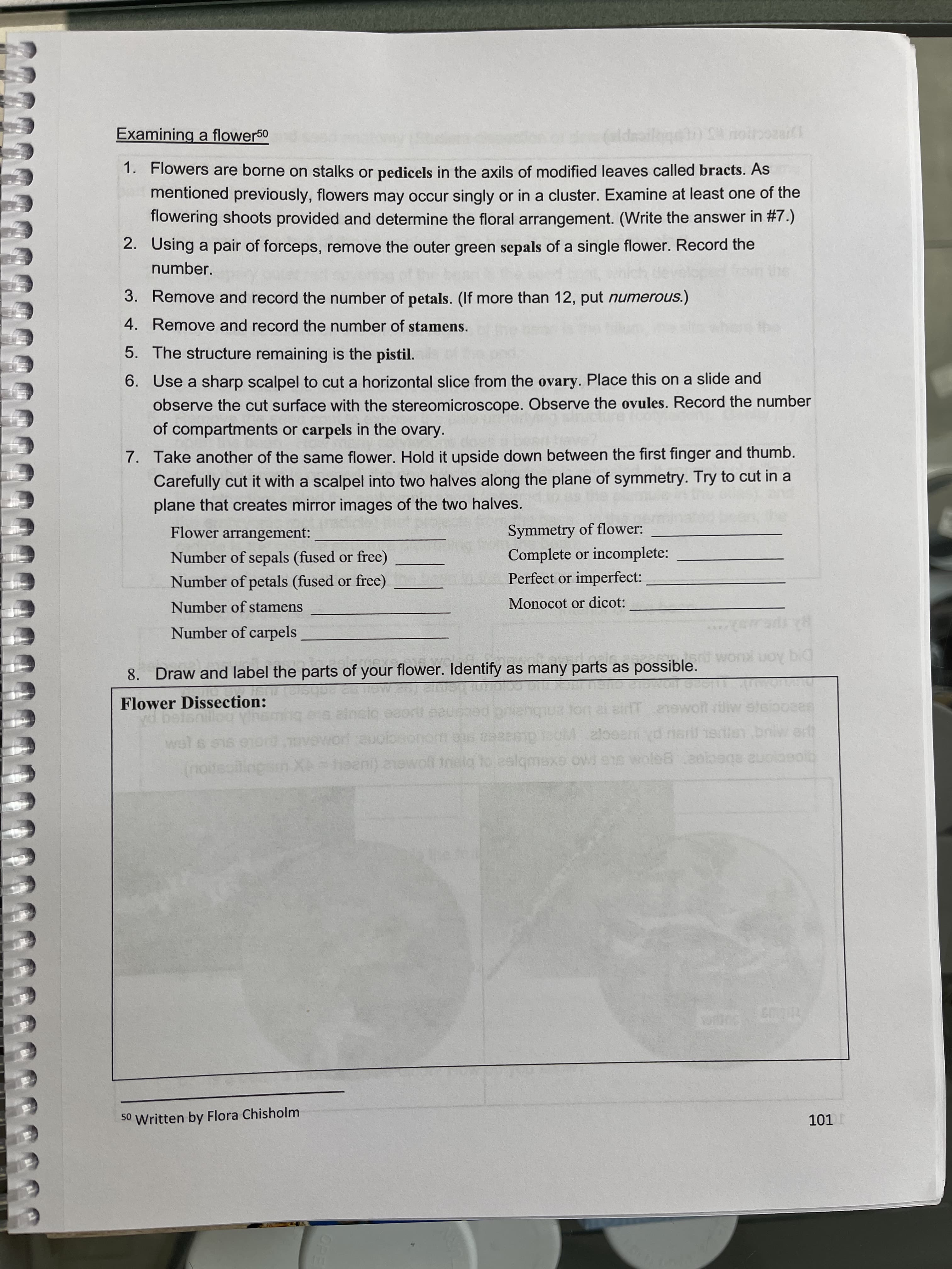 OPE
Examining a flower50
1. Flowers are borne on stalks or pedicels in the axils of modified leaves called bracts. As
mentioned previously, flowers may occur singly or in a cluster. Examine at least one of the
flowering shoots provided and determine the floral arrangement. (Write the answer in #7.)
2. Using a pair of forceps, remove the outer green sepals of a single flower. Record the
number.
3. Remove and record the number of petals. (If more than 12, put numerous.)
4. Remove and record the number of stamens.
5. The structure remaining is the pistil.
6. Use a sharp scalpel to cut a horizontal slice from the ovary. Place this on a slide and
observe the cut surface with the stereomicroscope. Observe the ovules. Record the number
of compartments or carpels in the ovary.
7. Take another of the same flower. Hold it upside down between the first finger and thumb.
Carefully cut it with a scalpel into two halves along the plane of symmetry. Try to cut in a
plane that creates mirror images of the two halves.
Symmetry of flower:
Complete or incomplete:
Perfect or imperfect:
Flower arrangement:
Number of sepals (fused or free)
Number of petals (fused or free)
Number of stamens
Monocot or dicot:
Number of carpels
8. Draw and label the parts of your flower. Identify as many parts as possible.
Dg Aon uoM US
Flower Dissection:
ainsiq eaorlt eaued briengnua
bu
fon ai sirfT ewolt riliw slsiooses
wals e1e
(noiteclng
XA-haeni) aewoli insig to ealqmsxs ovd 9e woleaeolbga uoloeoib
50 Written by Flora Chisholm
101
