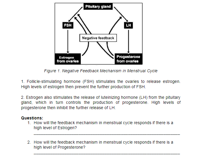 Pituitary gland
FSH
LH
Negative feedback
Estrogen
from ovaries
Progesterone
| from ovaries
Figure 1. Negative Feedback Mechanism in Menstrual Cycle
1. Follicle-stimulating hormone (FSH) stimulates the ovaries to release estrogen.
High levels of estrogen then prevent the further production of FSH.
2. Estrogen also stimulates the release of luteinizing hormone (LH) from the pituitary
gland, which in turn controls the production of progesterone. High levels of
progesterone then inhibit the further release of LH.
Questions:
1. How will the feedback mechanism in menstrual cycle responds if there is a
high level of Estrogen?
2. How will the feedback mechanism in menstrual cycle responds if there is a
high level of Progesterone?
