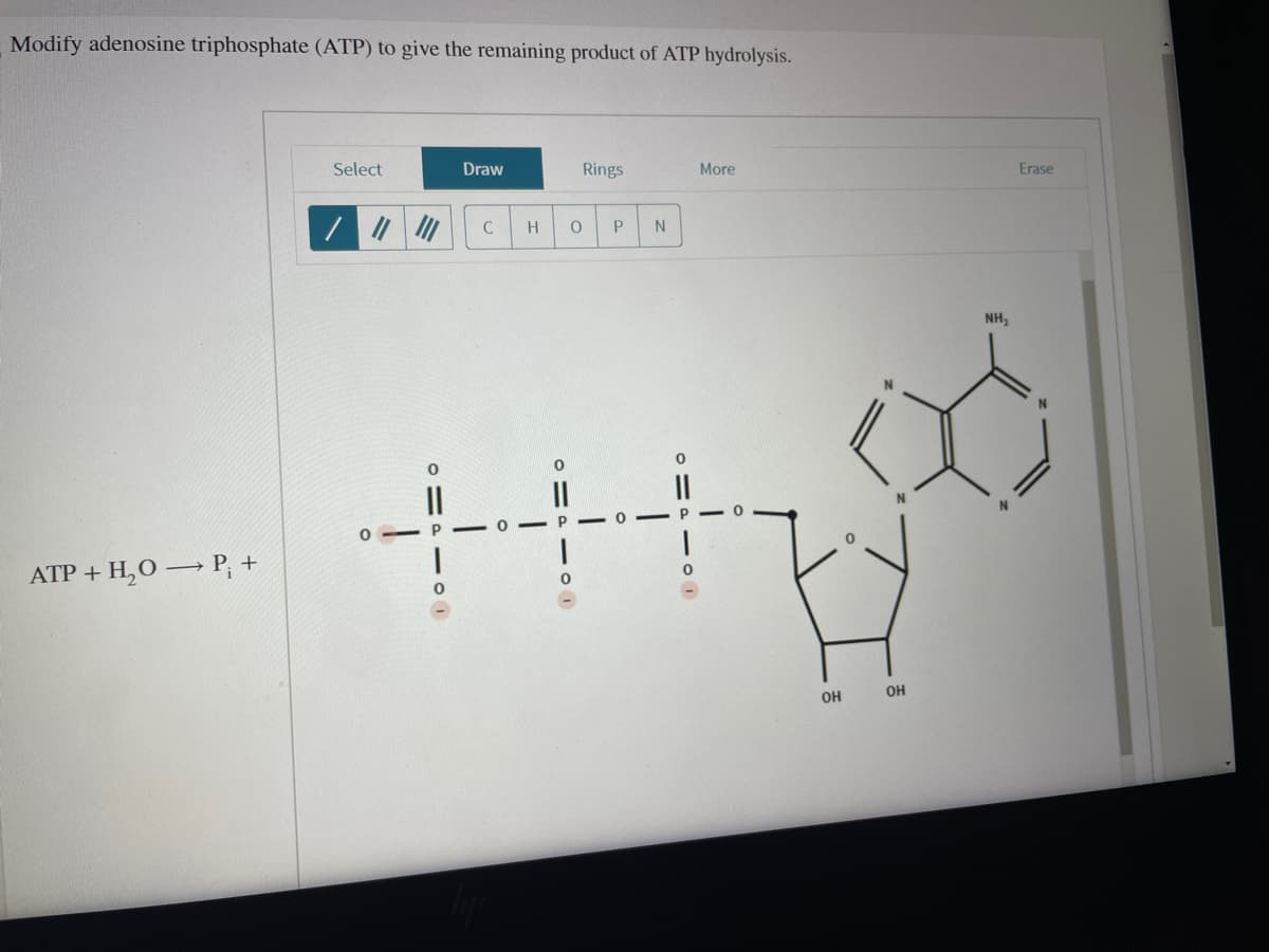 Modify adenosine triphosphate (ATP) to give the remaining product of ATP hydrolysis.
ATP + H₂O → P; +
Select
Draw
C
Rings
H O P N
More
+++
0
OH
OH
NH₂
Erase