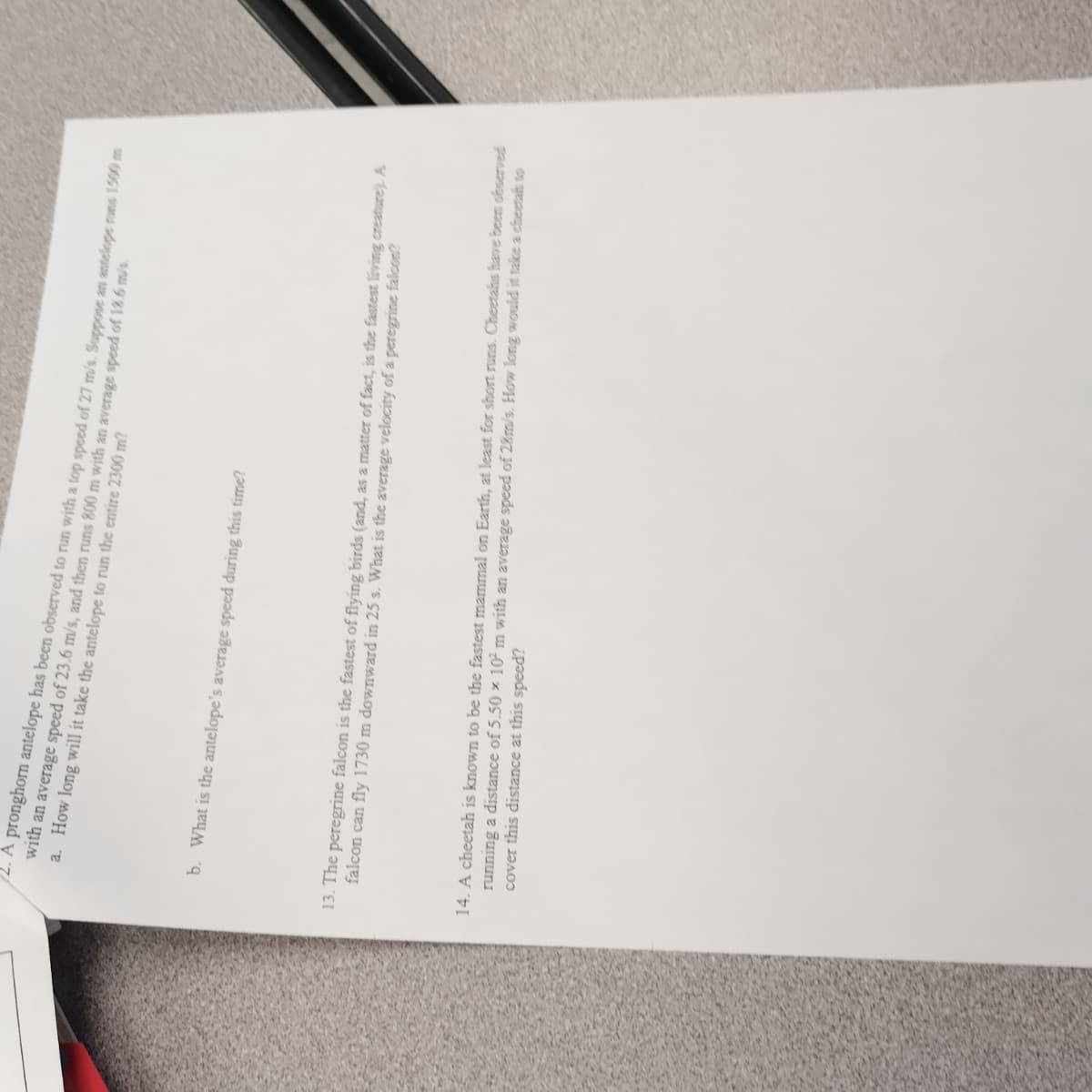 with an average speed of 23.6 m/s, and then runs 800 m with an average speed of 18.6 m/s.
A pronghorn antelope has been observed to run with a top speed of 27 m/s. Suppose an antelope runs 1500 m
a. How long will it take the antelope to run the entire 2300 m?
b. What is the antelope's average speed during this time?
13. The peregrine falcon is the fastest of flying birds (and, as a matter of fact, is the fastest living creature). A
falcon can fly 1730 m downward in 25 s. What is the average velocity of a peregrine falcon?
14. A cheetah is known to be the fastest mammal on Earth, at least for short runs. Cheetahs have been observed
cover this distance at this speed?
running a distance of 5.50 x 10² m with an average speed of 28m/s. How long would it take a cheetah to