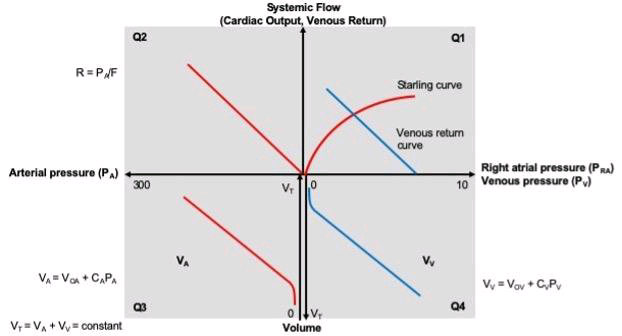 Systemic Flow
(Cardiac Output, Venous Return)
Q2
Q1
R= PF
Starling curve
Venous retun
curve
Arterial pressure (P)
300
Right atrial pressure (PRA)
10 Venous pressure (P)
V, 10
VA
VA =Voa + C,PA
Vy = Voy + C,P
Q4
V; = VA + V= constant
Volume
