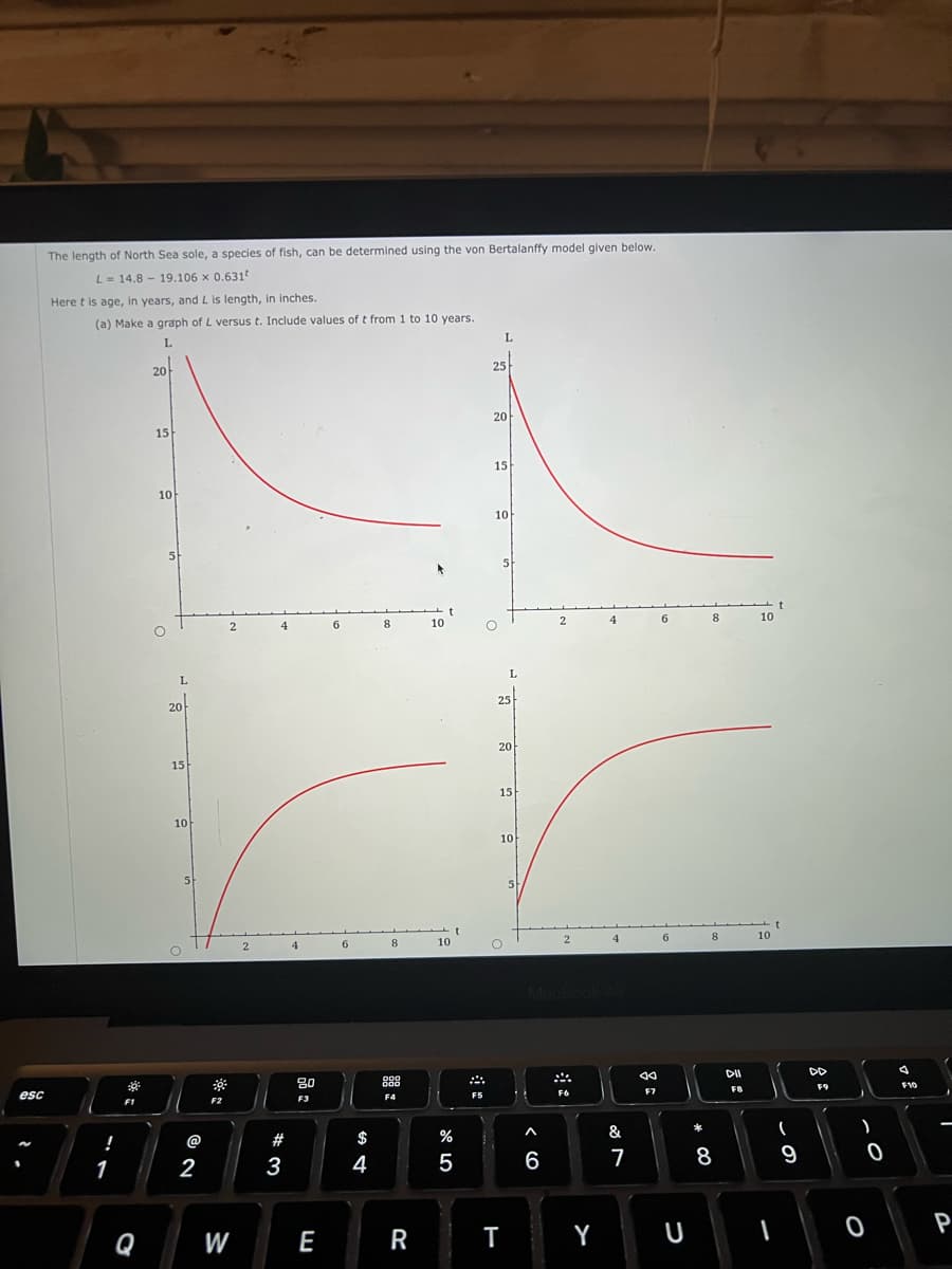 esc
The length of North Sea sole, a species of fish, can be determined using the von Bertalanffy model given below.
L 14.8
19.106 x 0.631
Here t is age, in years, and L is length, in inches.
(a) Make a graph of L versus t. Include values of t from 1 to 10 years.
L
!
1
F1
Q
20
15
10
5
L
20
15
10
O
5
@
2
F2
W
2
#3
4
80
F3
E
6
6
$
4
8
8
000
000
F4
R
10
t
10
t
%
5
F5
25
20
L
15
10
O
5
25
L
20
15
O
T
10
5
A
6
2
2
Y
4
&
7
44
F7
6
U
8
8
8
DII
FB
10
10
t
(
9
I
F9
)
0
0
4
F10
P