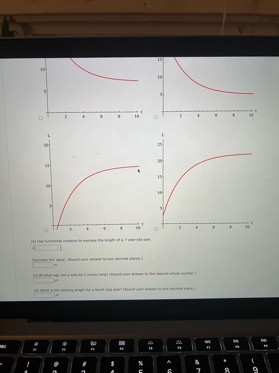 esc
10
L
20
0
15
F1
10
O
5
2
2
4
4
F2
6
6
(b) Use functional notation to express the length of a 7-year-old sole.
#
2
Calculate the value. (Round your answer to two decimal places.)
in
80
F3
8
8
$
10
A
10
t
000
000
F4
15
%
5
10
F5
O
(c) At what age will a sole be 6 inches long? (Round your answer to the nearest whole number.).
yr
(d) What is the limiting length for a North Sea sole? (Round your answer to one decimal place.)
in
5
25
20
15
10
O
5
2
A
2
6
F6
4
4
&
7
F7
6
6
8
8
8
DII
F8
10
10
t
(
9
DD
F9