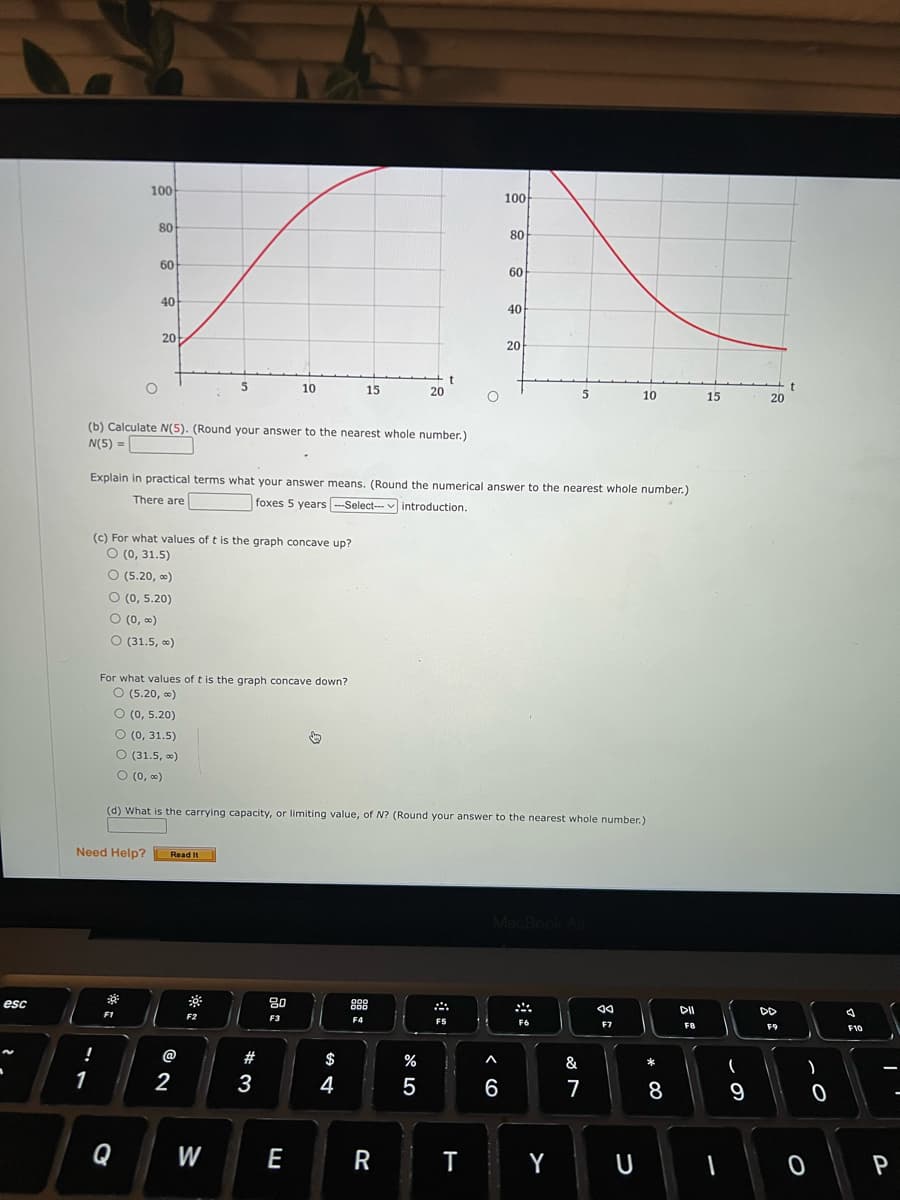 esc
1
100
!
80
O
60
40
F1
20
Q
(b) Calculate N(5). (Round your answer to the nearest whole number.)
N(5) =
(c) For what values of t is the graph concave up?
O (0, 31.5)
O (5.20,00)
O (0, 5.20)
O (0,00)
O (31.5, ∞)
Need Help? Read It
5
For what values of t is the graph concave down?
O (5.20, ∞)
O (0,5.20)
O (0, 31.5)
O (31.5, )
O (0,00)
@
2
10
W
#3
Explain in practical terms what your answer means. (Round the numerical answer to the nearest whole number.)
There are
foxes 5 years -Select- introduction.
80
F3
15
E
$
4
(d) What is the carrying capacity, or limiting value, of N? (Round your answer to the nearest whole number.)
20
000
DOD
F4
t
R
%
5
A
F5
T
100
^
80
6
60
40
20
5
244
F6
Y
&
7
10
F7
U
*
8
DII
F8
15
I
(
9
20
DD
F9
t
)
0
0
a
F10
I
P