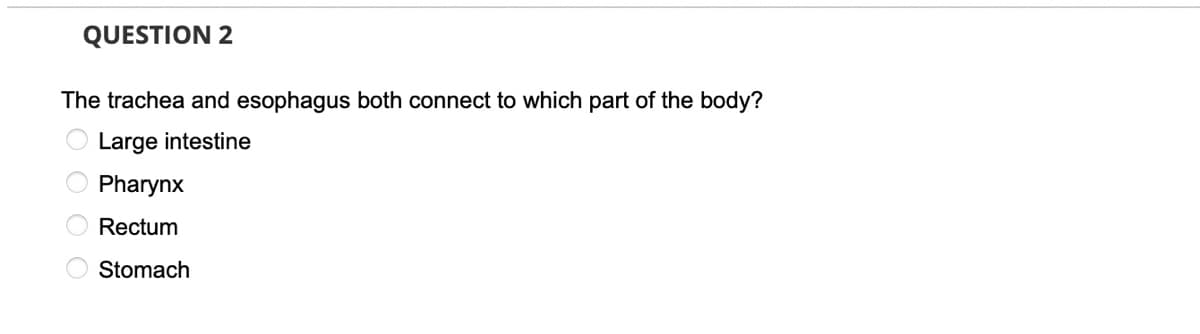 QUESTION 2
The trachea and esophagus both connect to which part of the body?
O Large intestine
Pharynx
Rectum
Stomach
