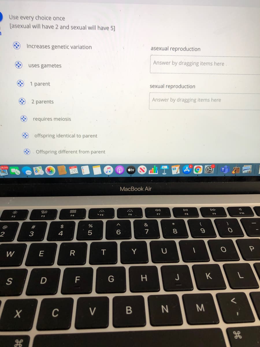 Use every choice once
[asexual will have 2 and sexual will have 5]
Increases genetic variation
asexual reproduction
Answer by dragging items here
uses gametes
1 parent
sexual reproduction
O 2 parents
Answer by dragging items here
O requires meiosis
O offspring identical to parent
O. Offspring different from parent
26
tv
MacBook Air
80
888
F7
FO
F9
F10
F6
F4
F3
@
23
$
2
3
4
5
9.
7
8.
W
E
R
T.
Y
D
G
J
K
C
V
* 00
B
