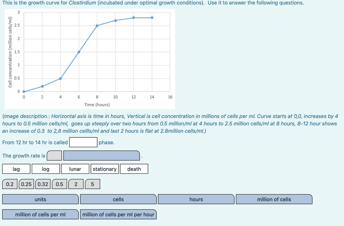 This is the growth curve for Clostirdium (incubated under optimal growth conditions). Use it to answer the following questions.
3
Cell concentration (million cells/ml)
2.5
2
0.2
1.5
1
0.5
0
2
The growth rate is
lag
log
0.25
4
0.32 0.5
units
6
million of cells per ml
(Image description.: Horizontal axis is time in hours, Vertical is cell concentration in millions of cells per ml. Curve starts at 0,0, increases by 4
hours to 0.5 million cells/ml, goes up steeply over two hours from 0.5 million/ml at 4 hours to 2.5 million cells/ml at 8 hours, 8-12 hour shows
an increase of 0.3 to 2,8 million cellls/ml and last 2 hours is flat at 2.8million cells/ml.)
From 12 hr to 14 hr is called
phase.
lunar
2
8
Time (hours)
10
5
stationary
12
cells
14
death
16
million of cells per ml per hour
hours
million of cells