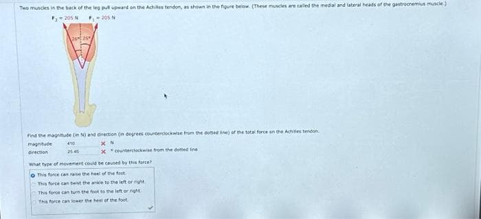 Two muscles in the back of the leg pull upward on the Achilles tendon, as shown in the figure below. (These muscles are called the medial and lateral heads of the gastrocnemius muscle.)
P₂-205N
F₁-205 N
2626
Find the magnitude (in N) and direction (in degrees counterclockwise from the dotted line) of the total force on the Achilles tendon.
410
XN
magnitude
direction
Xcounterclockwise from the dotted Ine
What type of movement could be caused by this force?
o This force can raise the heel of the foot
This force can twist the ankle to the left or night.
This force can turn the foot to the left or right
This force can lower the heel of the foot