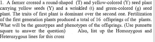 1. A farmer crossed a round-shaped (T) and yellow-colored (Y) seed plant
carrying yellow seeds (Y) and a wrinkled (t) and green-colored (g) seed
plant. The traits of first plant is dominant over the second one. Fertilization
of the first generation plants produced a total of 16 offsprings of the plants.
What will be the genotypes and phenotypes of the offsprings. (Use punnette
square to answer the question)
Heterozygous lines for this cross
Also, list up the Homozygous and
