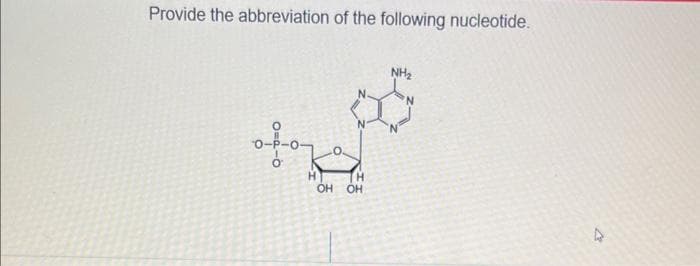 Provide the abbreviation of the following nucleotide.
-0-1-0-7
H
OH
H
OH
NH₂