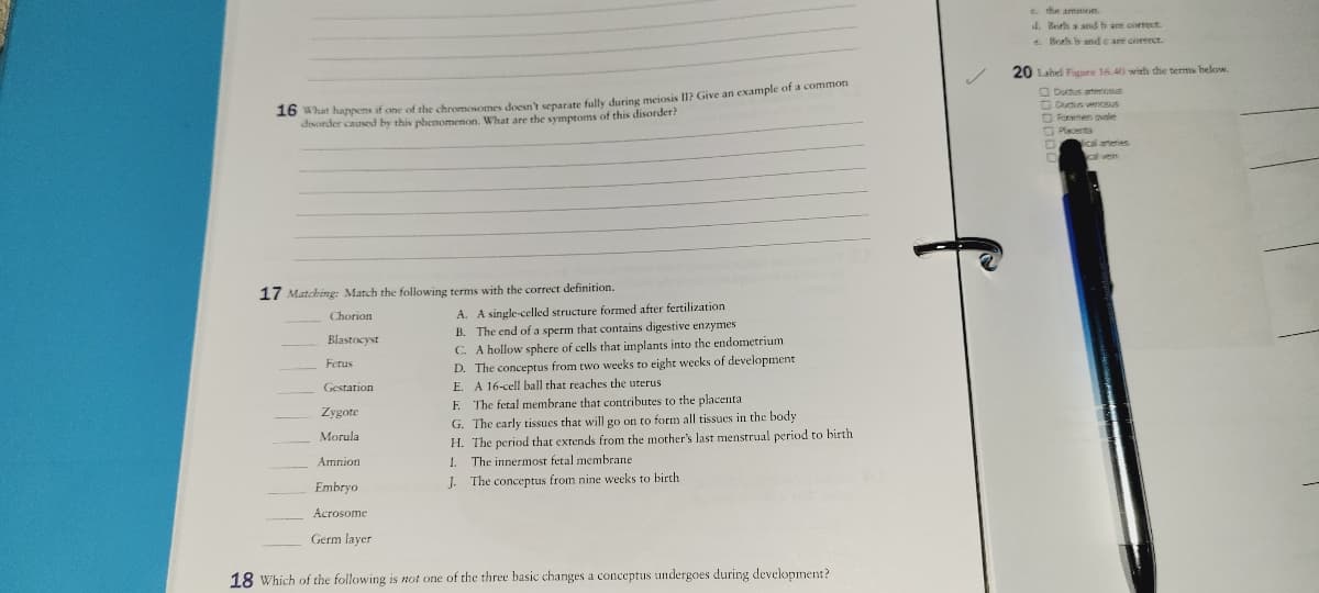 e the amnion.
d. Beth a and b are coerect.
e. Borh b and e are correct.
20 Label Figure 16.40 with the terms below.
Ductus arteriosus
O Cucts venosus
O Formen ovele
disorder caused by this phenomenon. What are the symptoms of this disorder?
O Placerta
ical arteries
17 Matching: Match the following terms with the correct definition.
A. A single-celled structure formed after fertilization
B. The end of a sperm that contains digestive enzymes
C. A hollow sphere of cells that implants into the endometrium
D. The conceptus from two weeks to eight weeks of development
E. A 16-cell ball that reaches the uterus
E The fetal membrane that contributes to the placenta
G. The early tissues that will go on to form all tissues in the body
H. The period that extends from the mother's last menstrual period to birth
Chorion
Blastocyst
Fetus
Gestation
Zygote
Morula
Amnion
I.
The innermost fetal membrane
J-
The conceptus from nine weeks to birth
Embryo
Acrosome
Germ layer
18 Which of the following is not one of the three basic changes a conceptus undergoes during development?
