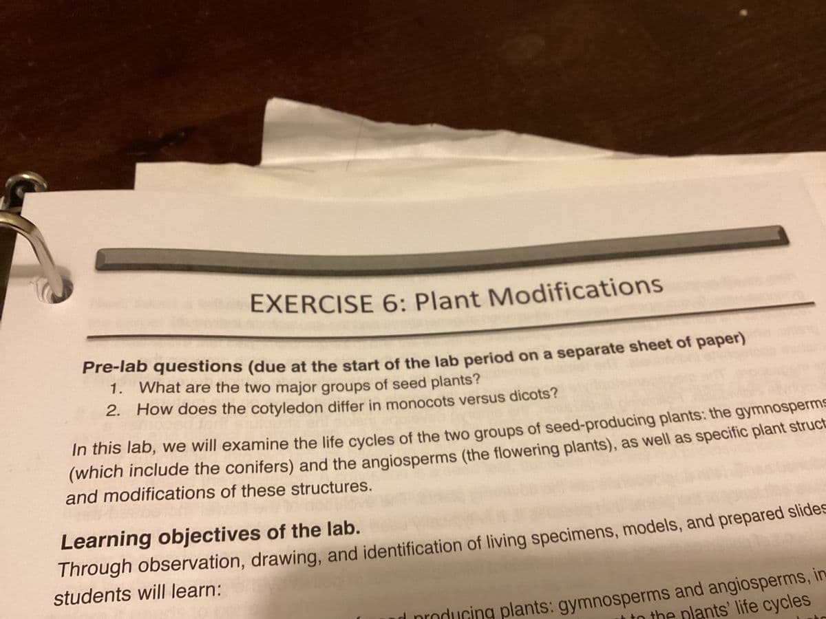 EXERCISE 6: Plant Modifications
Pre-lab questions (due at the start of the lab period on a separate sheet of paper)
1. What are the two major groups of seed plants?
2. How does the cotyledon differ in monocots versus dicots?
In this lab, we will examine the life cycles of the two groups of seed-producing plants: the gymnosperms
(which include the conifers) and the angiosperms (the flowering plants), as well as specific plant struct
and modifications of these structures.
Learning objectives of the lab.
Through observation, drawing, and identification of living specimens, models, and prepared slides
students will learn:
d producing plants: gymnosperms and angiosperms, in
to the plants' life cycles