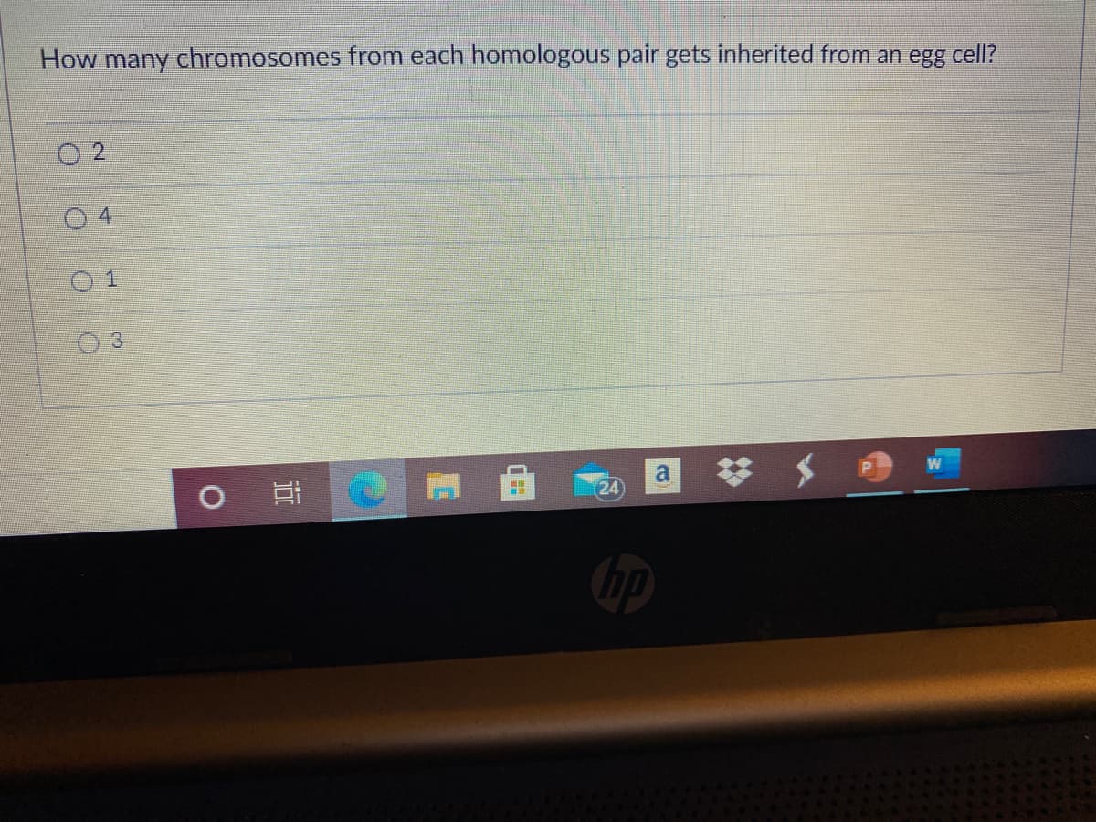 How many chromosomes from each homologous pair gets inherited from an egg cell?
4.
3.
a
24
