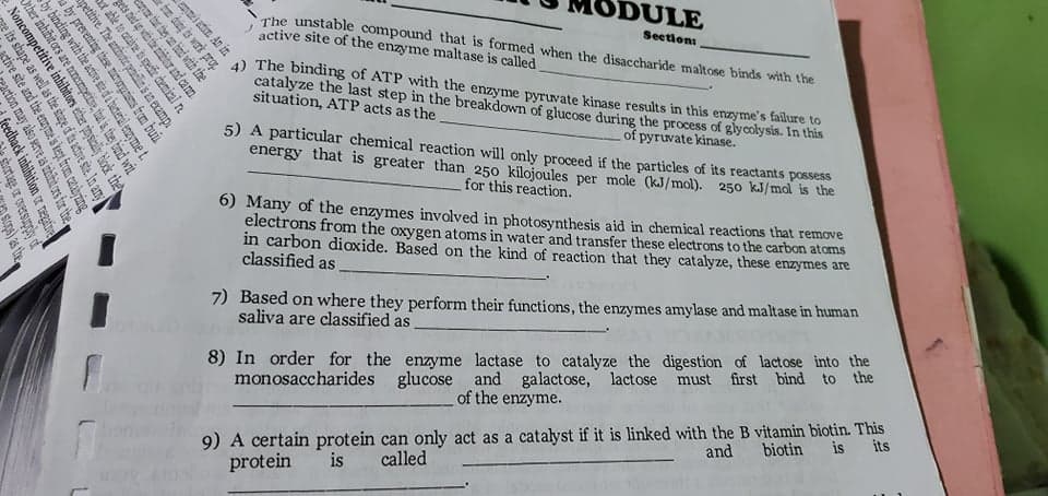 MODULE
The unstable compound that is formed when the disaccharide maltose binds with the
active site of the enzyme maltase is called
Section:
4) The binding of ATP with the enzyme pyruvate kinase results in this enzyme's failure to
catalyze the last step in the breakdown of glucose during the process of glycolysis. In this
situation, ATP acts as the,
of pyruvate kinase.
5) A particular chemical reaction will only proceed if the particles of its reactants possess
energy that is greater than 250 kilojoules per mole (kJ/mol). 250 kJ/mol is the
for this reaction.
6) Many of the enzymes involved in photosynthesis aid in chemical reactions that remove
electrons from the oxygen atoms in water and transfer these electrons to the carbon atoms
in carbon dioxide. Based on the kind of reaction that they catalyze, these enzymes are
classified as
7) Based on where they perform their functions, the enzymes amylase and maltase in human
saliva are classified as
monosaccharides glucose and galactose, lactose must first bind to the
of the enzyme.
8) In order for the enzyme lactase to catalyze the digestion of lactose into the
9) A certain protein can only act as a catalyst if it is linked with the B vitamin biotin. This
protein
is
its
and biotin
is
called
i atin An in
gets tied up viti the nhbtar and cann
apetitive. The anthiste peidin is an examp.
a by preventing these mivryis from bui
by binding with the active sida badteril enyme t.
Dther inhibit ors are nonmpettine, thet is, they bind wit
Noncompetitive inhibitors ether physially tlok the
e its shape as well as the shage r
active site and the enzy
Paction may also serve as zhitit ors for the
feedback inhibition r ngtve
sturtage or oversupply of
Stops) as the
