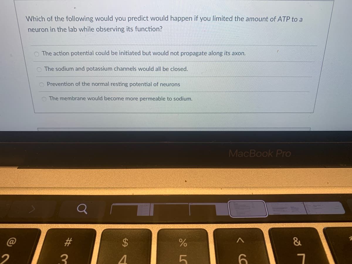 Which of the following would you predict would happen if you limited the amount of ATP to a
neuron in the lab while observing its function?
O The action potential could be initiated but would not propagate along its axon.
O The sodium and potassium channels would all be closed.
O Prevention of the normal resting potential of neurons
O The membrane would become more permeable to sodium.
MacBook Pro
Q
#3
&
3.
6.
%24

