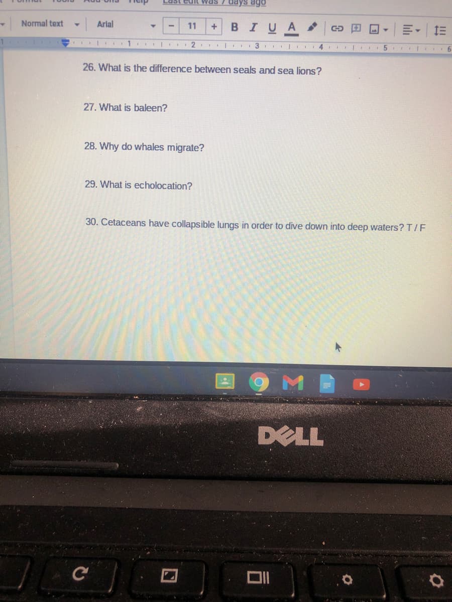 Last edit vwas 7 days ago
4.
Normal text
Arlal
BIUA
11
26. What is the difference between seals and sea lions?
27. What is baleen?
28. Why do whales migrate?
29. What is echolocation?
30. Cetaceans have collapsible lungs in order to dive down into deep waters? T/F
DELL
C
