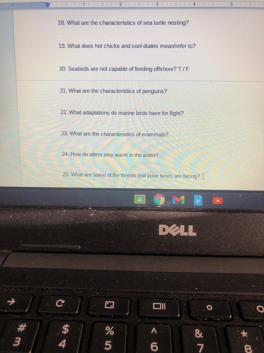 18. What are the characteristics of sea turtle nesting?
19. What does hot chicks and cool dudes mean/refer to?
20. Seabirds are not capable of feeding offshore? T/F
21. What are the characteristics of penguins?
22. What adaptations do marine birds have for flight?
23. What are the characteristics of mammals?
24. How do otters stay warm in the water?
25. What are some of the threats that polar bears are facing?
DELL
23
$
3
4
7
00
5
