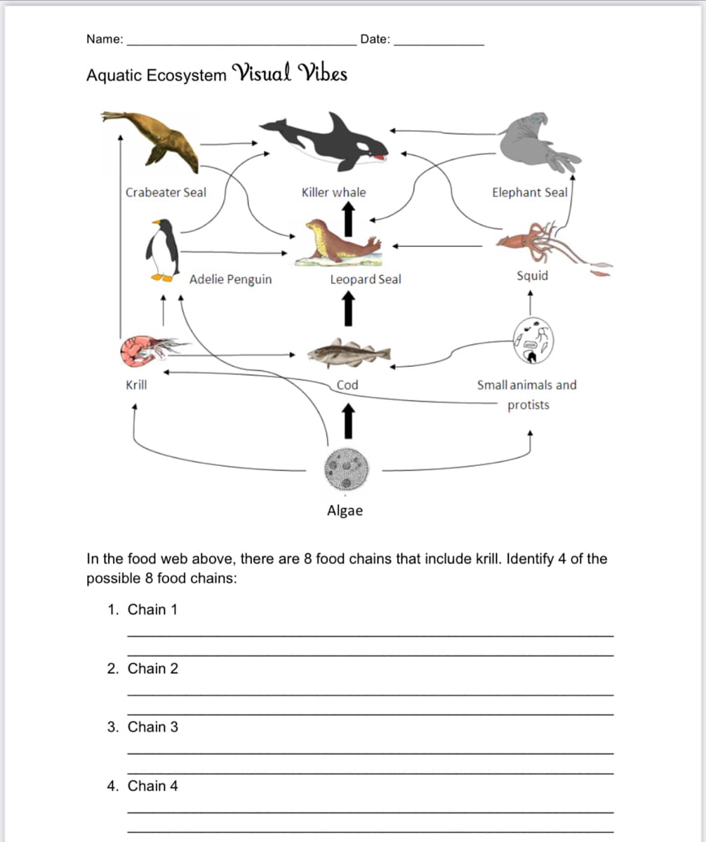 Name:
Date:
Aquatic Ecosystem Visual Vibes
Crabeater Seal
Killer whale
Elephant Seal
Adelie Penguin
Leopard Seal
Squid
Krill
Cod
Small animals and
protists
Algae
In the food web above, there are 8 food chains that include krill. Identify 4 of the
possible 8 food chains:
1. Chain 1
2. Chain 2
3. Chain 3
4. Chain 4
