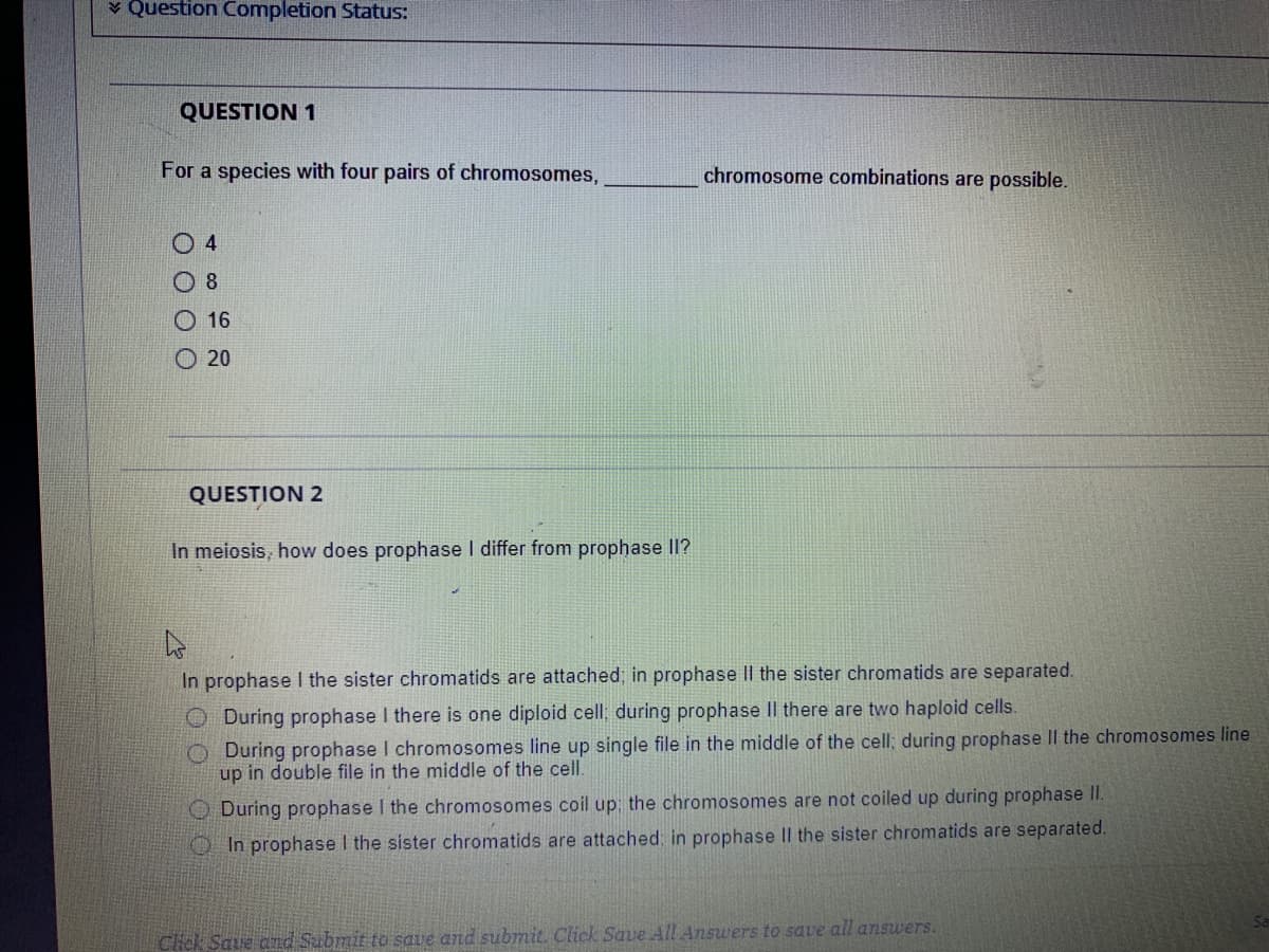 ¥ Question Completion Status:
QUESTION 1
For a species with four pairs of chromosomes,
chromosome combinations are possible.
O 4
O 8
O 16
O 20
QUESTION 2
In meiosis, how does prophase I differ from prophase II?
In prophase I the sister chromatids are attached; in prophase II the sister chromatids are separated.
O During prophase I there is one diploid cell: during prophase Il there are two haploid cells.
O During prophase I chromosomes line up single file in the middle of the cell; during prophase Il the chromosomes line
up in double file in the middle of the cell.
During prophase I the chromosomes coil up: the chromosomes are not coiled up during prophase II.
O In prophase I the sister chromatids are attached in prophase II the sister chromatids are separated.
Click Saue and Submit to save and submit. Click Save All Answers to save all ansuwers.
