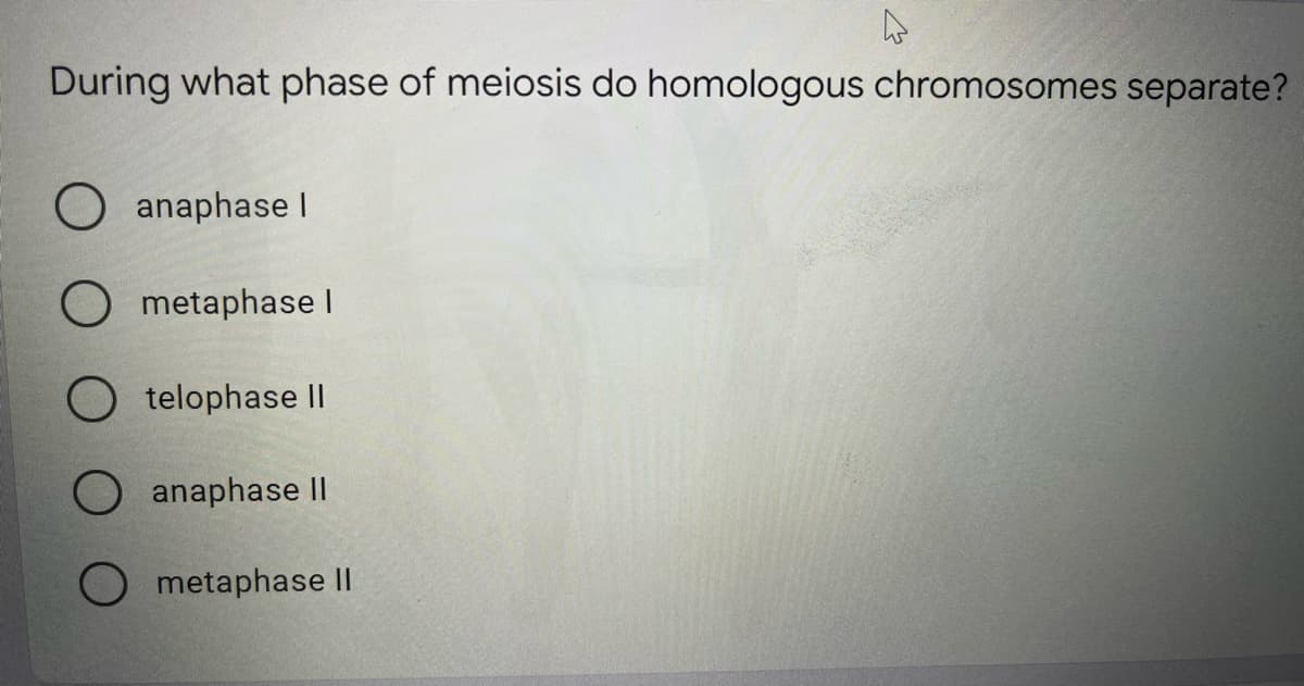 During what phase of meiosis do homologous chromosomes separate?
O anaphase I
O metaphase I
O telophase ||
O anaphase ||
metaphase II
