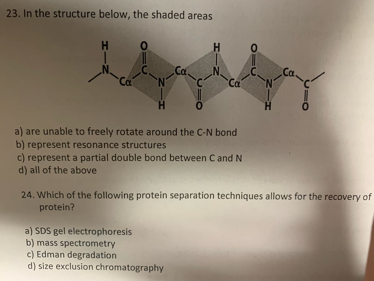 23. In the structure below, the shaded areas
H
Ca
Ca.
H
a) SDS gel electrophoresis
b) mass spectrometry
c) Edman degradation
d) size exclusion chromatography
Ca
a) are unable to freely rotate around the C-N bond
b) represent resonance structures
c) represent a partial double bond between C and N
d) all of the above
Ca.
24. Which of the following protein separation techniques allows for the recovery of
protein?