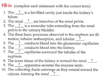 Fill-in (complete each statement with the correct term)
1. The_?_is a fat-filled cavity just inside the kidney's
hilum.
2. The renal?_ are branches of the renal pelvis.
3. The?_is a muscular tube extending from the renal
pelvis to the urinary bladder.
4. The three basic processes observed in the nephron are fil-
tration, tubular reabsorption, and tubular_?
5. The? conducts blood into the glomerular capillaries.
6. The ? _conducts blood into the kidney.
7. The?_capillaries surround the tubules of the
nephron.
8. The inner tissue of the kidney is termed the renal
9. The?_apparatus secretes the enzyme renin.
10. The collecting ducts converge as they extend toward the
calyces, forming the renal
