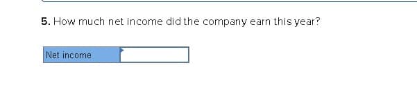 5. How much net income did the company earn this year?
Net income