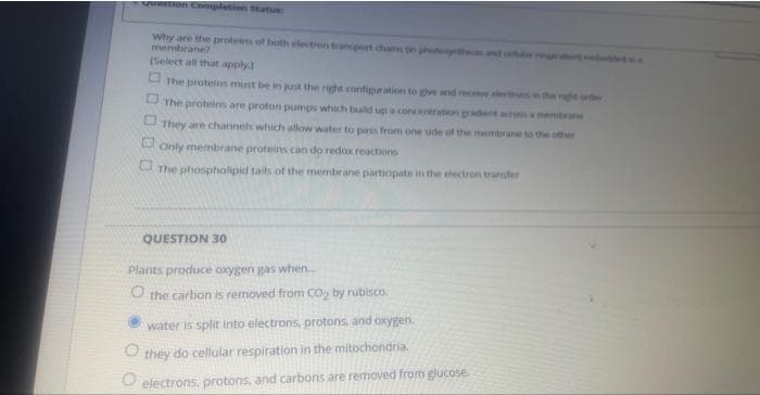 Question Completion Status
Why are the proteins of both electron transport chains on photo
membrane?
[Select all that apply]
The proteins must be in just the right configuration to give and rece electes in the right onder
The proteins are proton pumps which build up a concentration gradent across a membrane
They are channels which allow water to pass from one side of the membrane to the other
Only membrane proteins can do redox reactions
The phospholipid tails of the membrane participate in the electron transfer
QUESTION 30
Plants produce oxygen gas when...
O the carbon is removed from CO₂ by rubisco.
water is split into electrons, protons, and oxygen.
they do cellular respiration in the mitochondria.
electrons, protons, and carbons are removed from glucose.