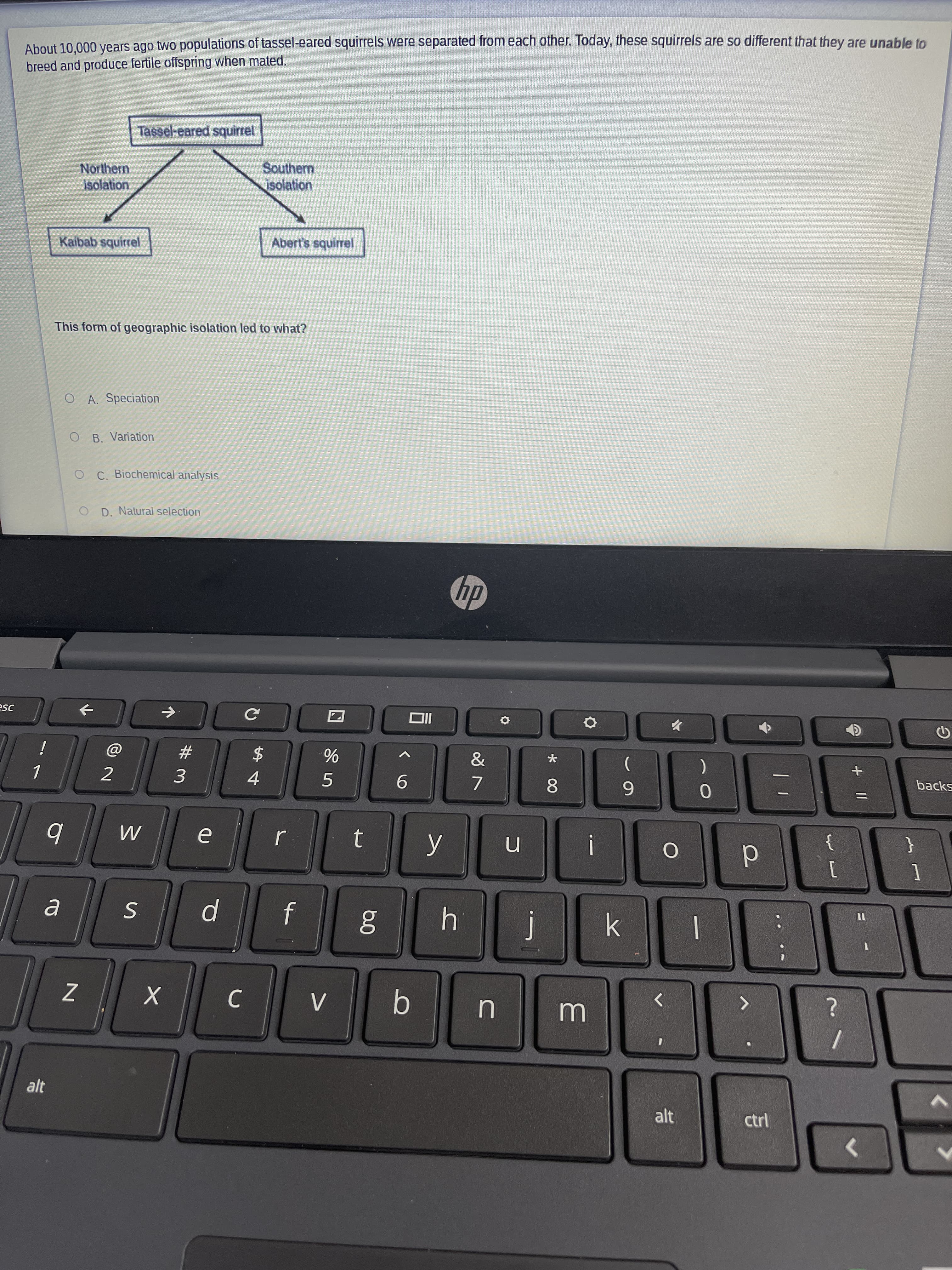 This form of geographic isolation led to what?
O A. Speciation
O B. Variation
O C. Biochemical analysis
O D. Natural selection
