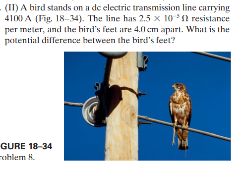 - (II) A bird stands on a dc electric transmission line carrying
4100 A (Fig. 18–34). The line has 2.5 × 10-° N resistance
per meter, and the bird's feet are 4.0 cm apart. What is the
potential difference between the bird's feet?
GURE 18–34
roblem 8.
