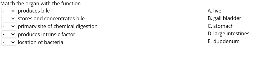 Match the organ with the function.
produces bile
v stores and concentrates bile
v primary site of chemical digestion
v produces intrinsic factor
v location of bacteria
A. liver
B. gall bladder
C. stomach
-
D. large intestines
E. duodenum
