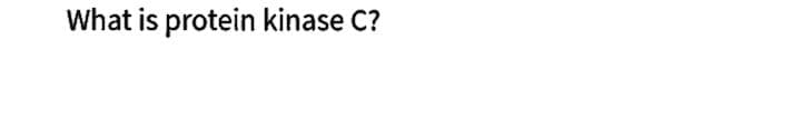 What is protein kinase C?
