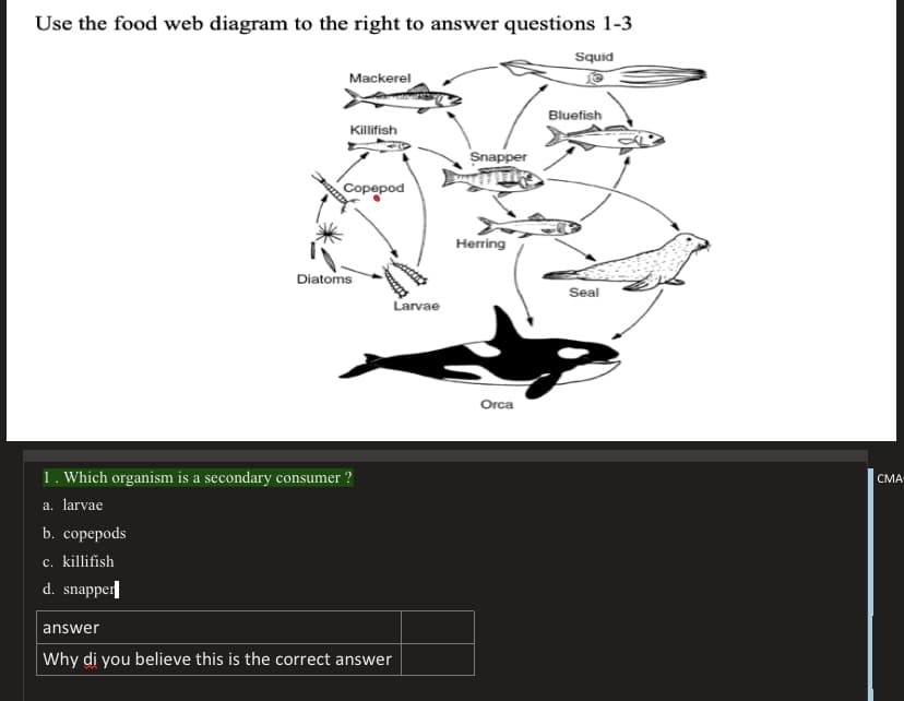 Use the food web diagram to the right to answer questions 1-3
Squid
Mackerel
Bluefish
Killifish
Snapper
Copepod
Herring
Diatoms
Seal
Larvae
Orca
1. Which organism is a secondary consumer
СМА
a. larvae
b. сорерods
c. killifish
d. snapper|
answer
Why di you believe this is the correct answer
