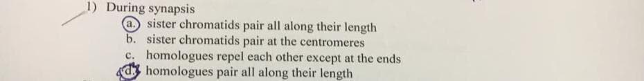 1) During synapsis
a. sister chromatids pair all along their length
b. sister chromatids pair at the centromeres
c. homologues repel each other except at the ends
dhomologues pair all along their length
