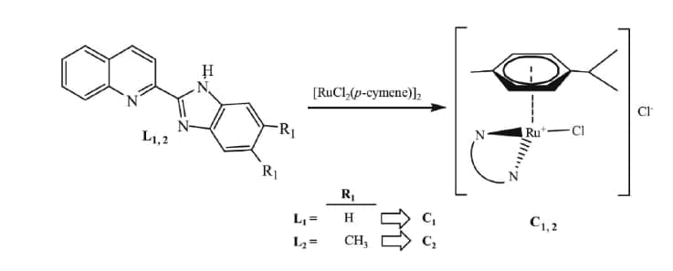 H
xx
N₁
N-
L1,2
-R₁
R₁
[RuCl₂(p-cymene)]₂
L₁ =
L₂=
R₁
H
C₁
¥88
CH,
C₂
Ru - Cl
C1,2
CI