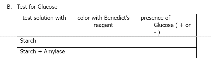 B. Test for Glucose
color with Benedict's
presence of
Glucose (+ or
-)
test solution with
reagent
Starch
Starch + Amylase
