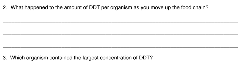 2. What happened to the amount of DDT per organism as you move up the food chain?
3. Which organism contained the largest concentration of DDT?
